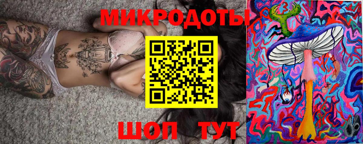 Галлюциногенные грибы Psilocybe Ейск